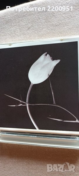 ASTOR  PIAZZOLLA, снимка 1