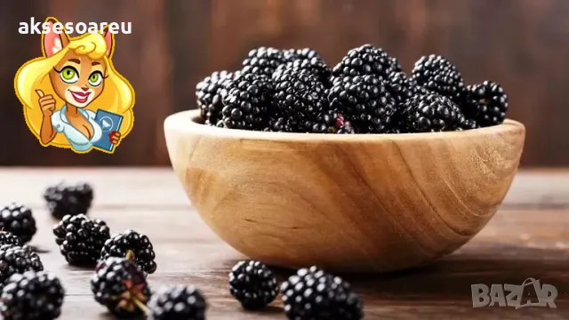  100 бр Висококачествени органични плодови семена от хранителна Къпина вкусни къпини антиоксидант, снимка 6 - Сортови семена и луковици - 50334256