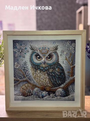 Завършена Диамантена Картина „Зимна Сова“ с Рамка, снимка 2 - Гоблени - 54146689