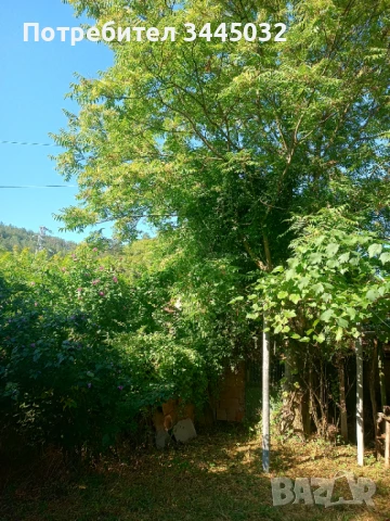 Вила в село Реселец , снимка 5 - Къщи - 51259595