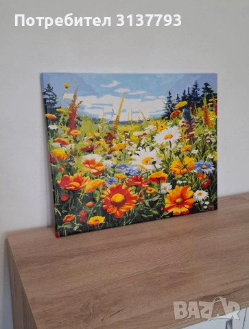 Нарисувани картини по номера!, снимка 4 - Картини - 51631618