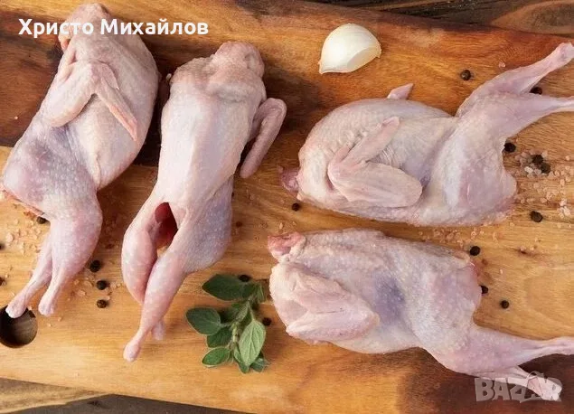 Продавам пъдпъдъчи месо