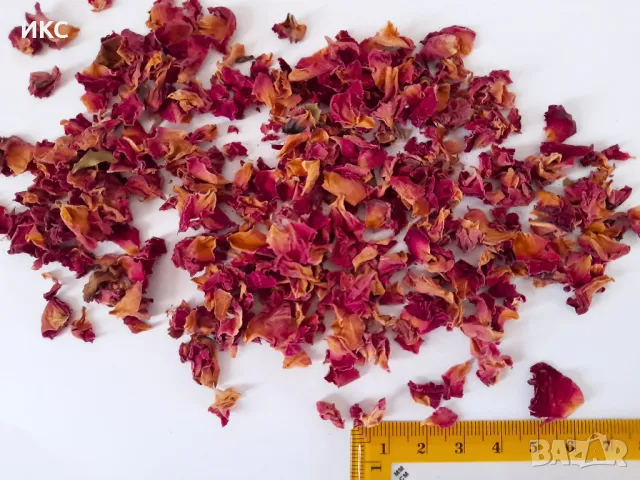 Сушени рози,невен,лавандула,синчец,естествени цветя на едро и дребно за България и чужбина,етерични, снимка 3 - Декорация - 48915910