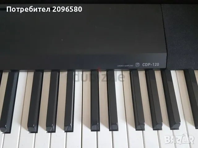 Частни Уроци по Цигулка, Пиано, Виола