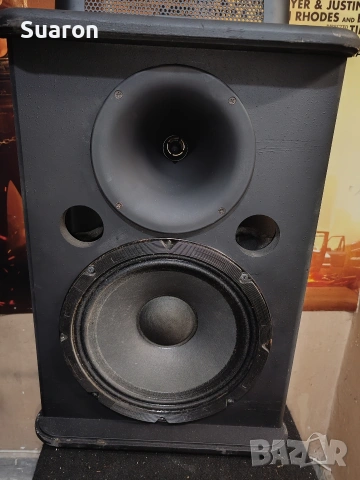 Активна колона ,,Proel" model:TPR10A, снимка 3 - Тонколони - 54086714