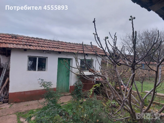 Къща с двор в село Иванча обл. Великотърново, снимка 8 - Къщи - 52687355