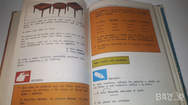 Книга, учебник по испански - Mi Idioma Y Yo, снимка 9 - Учебници, учебни тетрадки - 44720720