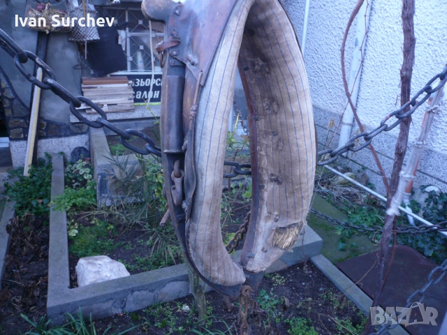 ХАМУТ ЗА КОН ОТ ПЕТДЕСТТЕ ГОДИНИ, снимка 7 - Други животни - 53256404