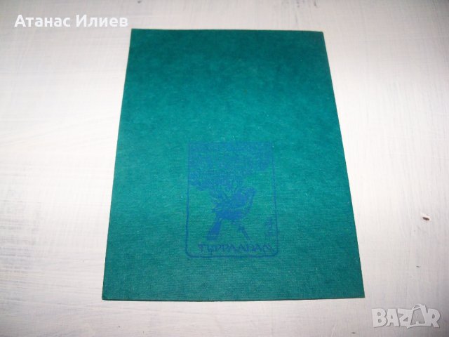 Ръчно рисувана картичка върху листо от дървото Бодхи, Индия 8, снимка 5 - Други ценни предмети - 35593998