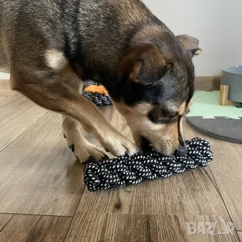 Комплект играчки за кучета / Кучешки играчки за дъвчене - 10 броя, снимка 7 - За кучета - 47396819