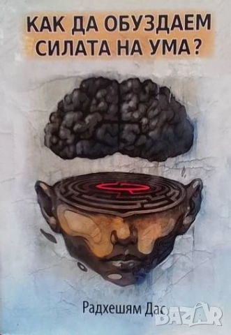 Как да обуздаем силата на ума? Радхешям Дас