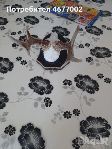 голям сръндак, снимка 5 - Антикварни и старинни предмети - 54317557