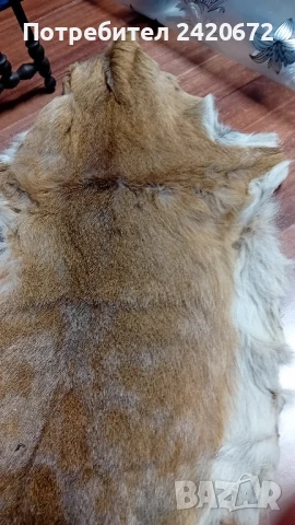 еленска кожа, снимка 3 - Антикварни и старинни предмети - 51182824
