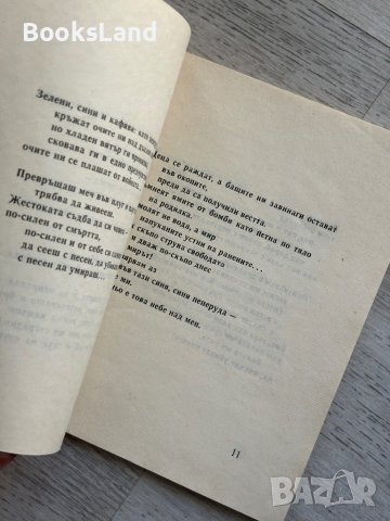 Убийство на щурец Васил Сотиров, снимка 4 - Художествена литература - 44252399