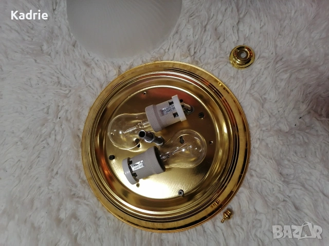 полилей , снимка 3 - Полилеи - 53067999