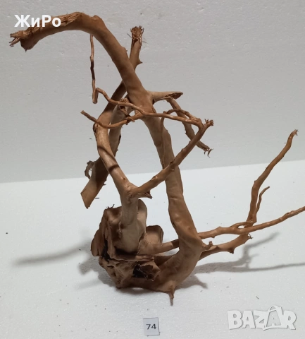 Корен от Азалия /декорация/ 74, снимка 4 - Други - 54102579