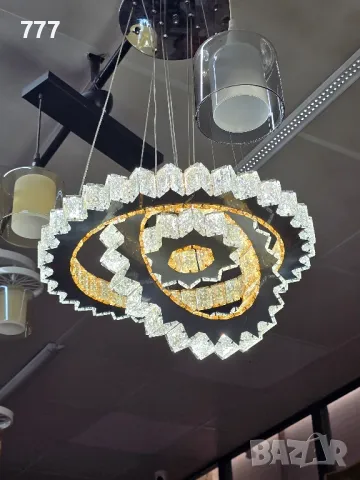 полилеи, снимка 7 - Полилеи - 48275058