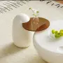 Холни масички 1, снимка 4