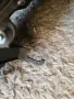 Ляв фар за Toyota Corolla Cross Full LED , снимка 8