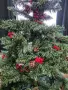 Коледно. дърво .., снимка 7