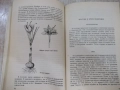 Книга "Подправките като храна и лекарство-А.Боева" - 152 стр, снимка 4