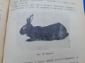 Зайцевъдство , снимка 5