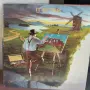 Грамофонни плочи, снимка 12