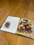 Книга за Леонардо Да Винчи, 2бр. (Испански език), снимка 5