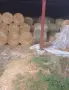 Големи рулонни бали сено, снимка 5
