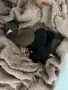 Кученца бебета., снимка 2