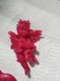 Ароматни глицеринови сапунчета за Свети Валентин, снимка 8