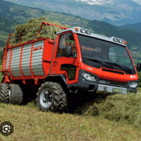 Емблема от Австрийски камион, Голяма и Релефна !!!, снимка 5 - Аксесоари и консумативи - 44651853