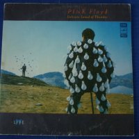 грамофонни плочи Pink Floyd - Delicate Sound of Thunder/2Lp/, снимка 1 - Грамофонни плочи - 42449067