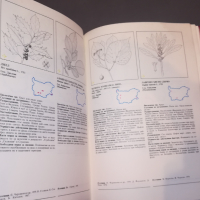 Червена книга на България - Том 1 - Растения , снимка 5 - Художествена литература - 44562009
