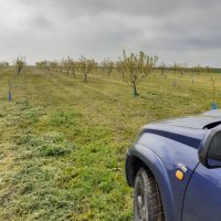 Косене на трева с тример в Град Дулово и Силистра и селата около тях., снимка 4 - Други почистващи услуги - 36865533