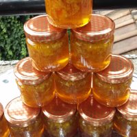 100% Чист пчелен мед от производител Горски букет!, снимка 13 - Пчелни продукти - 28929399
