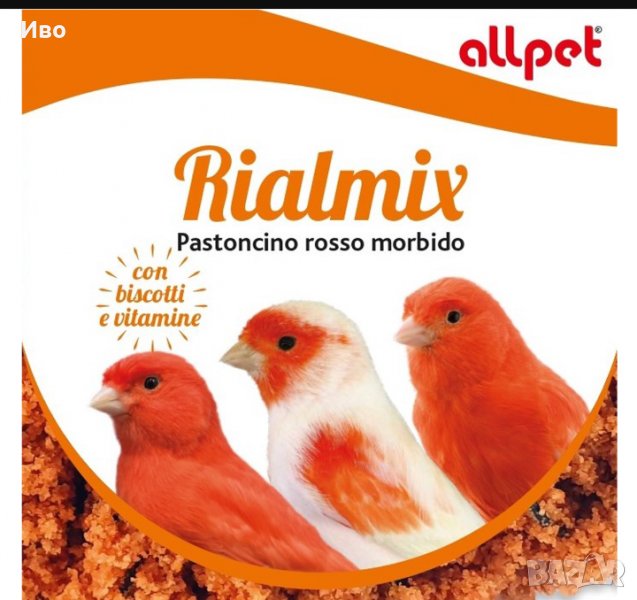 Червено пасточино, снимка 1