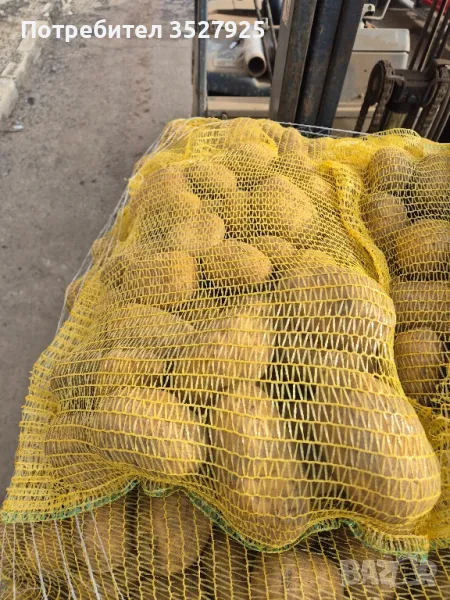 Продавам картофи, снимка 1