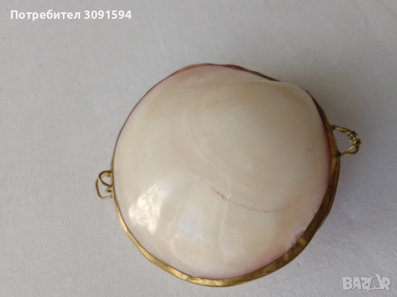 Кутия за бижута - протмоне от естествена мида, снимка 1