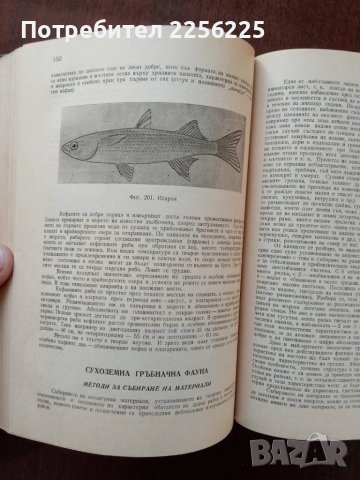 История СССР, снимка 2 - Художествена литература - 50453540