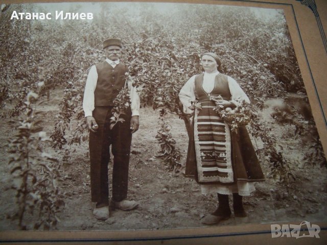 Стара фотография на картон "В градината" 1910г., снимка 1 - Други ценни предмети - 30475285