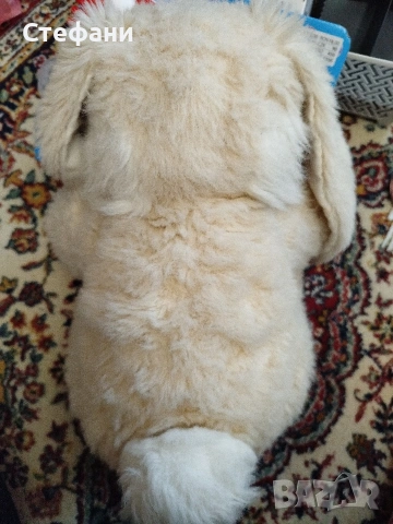 Разпродажба на чисто нови стоки , снимка 8 - Портфейли, портмонета - 53986614