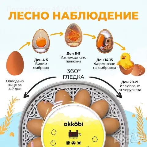 Автоматичен инкубатор за яйца с въртяща система и контрол на влажността, снимка 3 - Кокошки и пуйки - 55739721