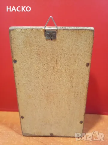 ЛЯТНА ЦЕНА Препариран ЧЕРН СКОРПИОН, снимка 6 - Други - 48124888