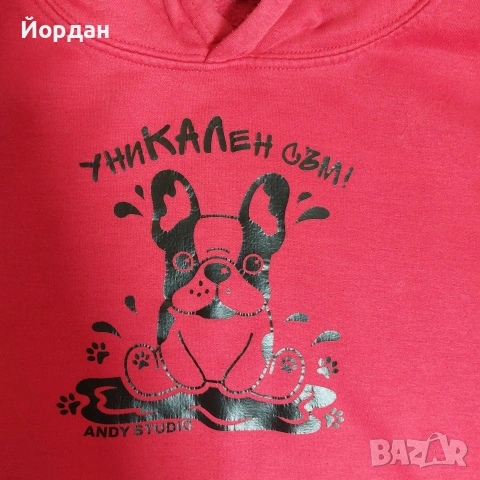 Анди Студио Мърч - Худи 10 год, снимка 4 - Детски анцузи и суичери - 53133599