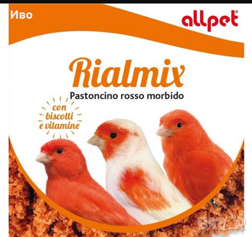 Червено пасточино, снимка 1