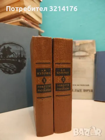 Заметки неизвестного – Н. С. Лесков, снимка 2 - Художествена литература - 50362620