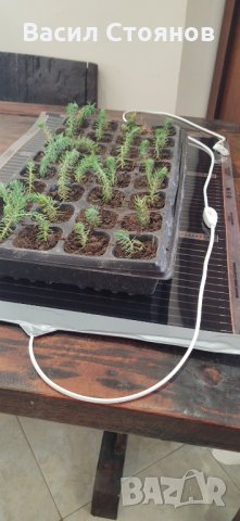 Нагревателна подложка за разсад Арно, снимка 12 - Разсади - 30952406