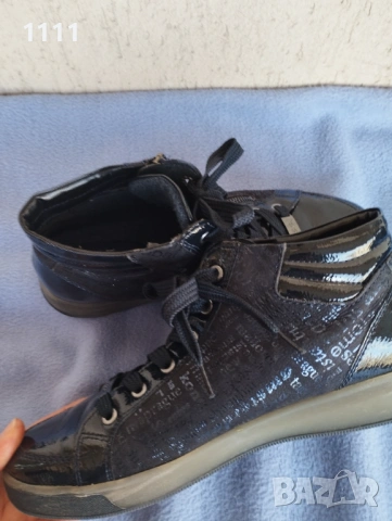 Кецове Ara номер 41.