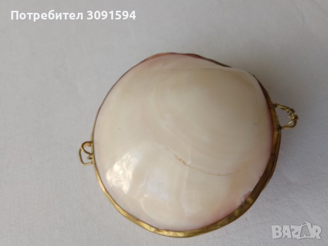 Кутия за бижута - протмоне от естествена мида